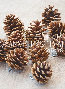 松果带钉干花圣诞森系装饰摆件幼儿园手工制作创意吊饰XDI材料包
