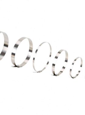 伏兴滚珠自锁式304不锈钢扎带船用金属捆扎带标牌扎带4.6*1150mm1