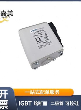 170M5248 170M5388 170M5398低压快速熔断器 电子元器件 库存充足