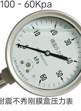 YNE100BF耐震不锈钢膜盒压力表ye100bf 0-16/25/40/60/100kpa彤炜