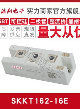 可控硅SKKT161 162 172 210 213/08E 12E 14E 16E 18E 20E 22EH4