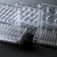 耐思/Nest 6/12/24孔细胞培养板 平底 未TC 703011/712011/702011