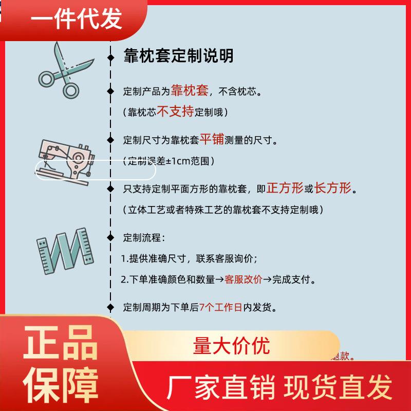 V45O靠枕套定 制尺寸天鹅绒面料抱枕套沙发靠背套定 做私人定 制2