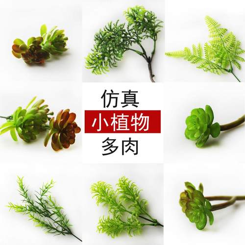 小绿植 微景观仿真植物 塑料花假草 多肉背景植物 DIY微景观材料