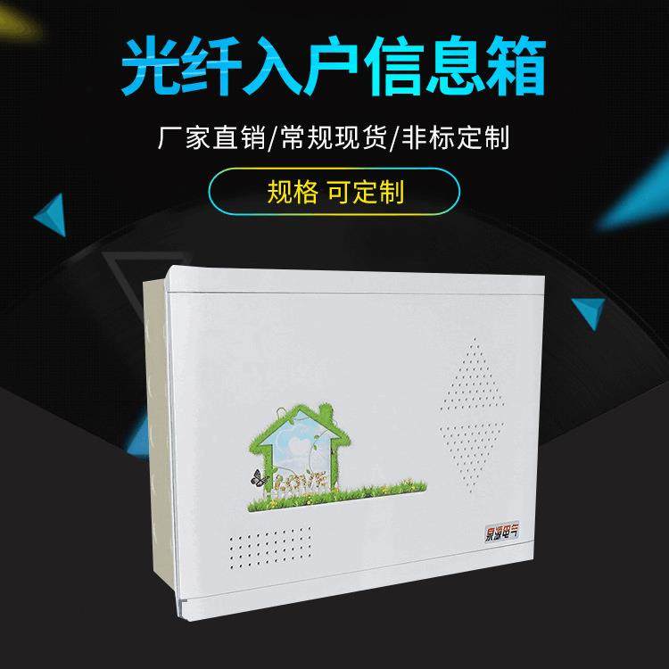 弱电箱光纤入户信息箱 弱电箱 多媒体信息箱 光纤箱400*300泉源