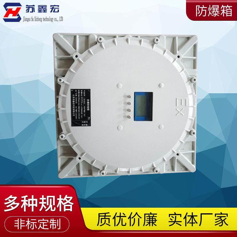 动力照明控制箱 成套不锈钢电源仪表照明控制箱 动力电气仪表箱