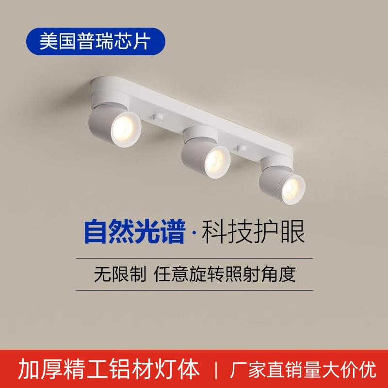 北欧风双头三头吸顶led轨道射灯家用可调角度旋转衣帽间明装射灯