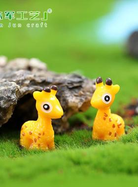 苔藓微景观 多肉植物摆件 玩偶摆件 小号树脂梅花鹿 DIY材料