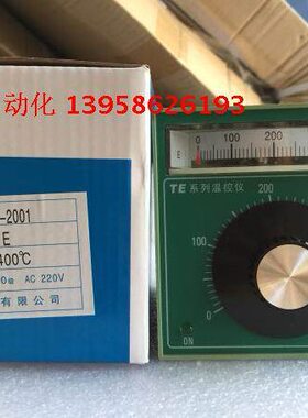 E系列通T  -2001 仪表 A温控仪指针B EEYT型上温控器式温控仪ST