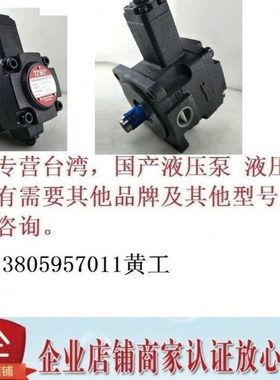 台湾盛菖TCMC叶片泵TCVP-F23-A1-02 A2 A3 A4 TCVP-F26-A1-02
