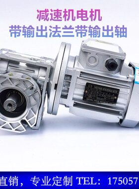 NMRV蜗轮蜗杆减速机带电机 三相380V电机rv50/63/75/90涡轮涡杆