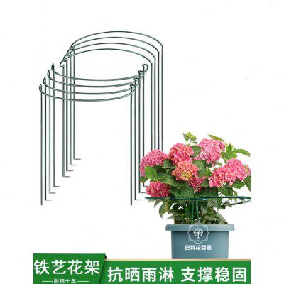 圆形防倒伏支架半圆花架支撑杆爬藤支撑铁艺龟背竹园艺植物支撑架