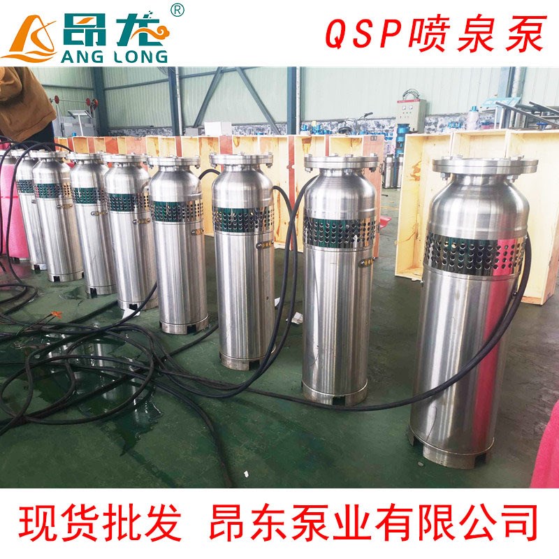 QS/QSP不锈钢潜水喷泉泵QSw65-10-3充水景观喷泉专用潜水泵不锈钢