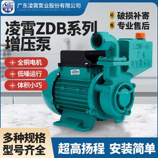 广东凌霄水泵增压泵家用全自动抽水井自来水管道加压1ZDB65型水泵