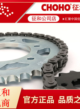 飞致150 YS15k0/天剑150 YBR150Z飞致125大小牙盘链轮套链油封链