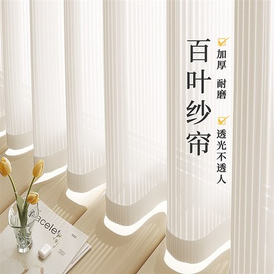 竖百叶窗帘纱帘窗纱客厅阳台飘窗梦幻帘透光KL不透人卧室2024新款