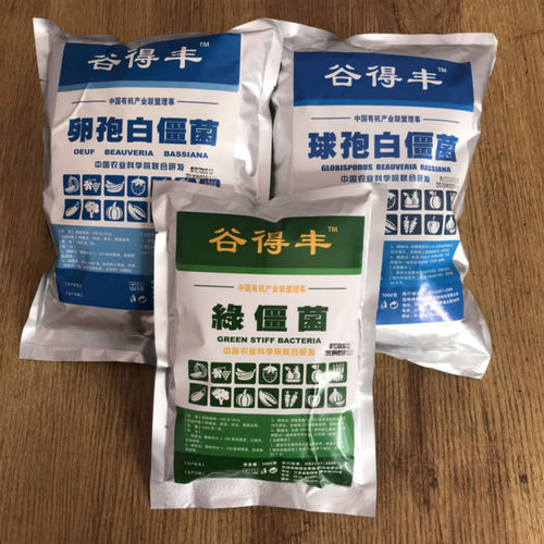 绿僵菌原粉 球白僵菌有机微生物菌F剂 农用广谱地下蛴螬蟑螂等