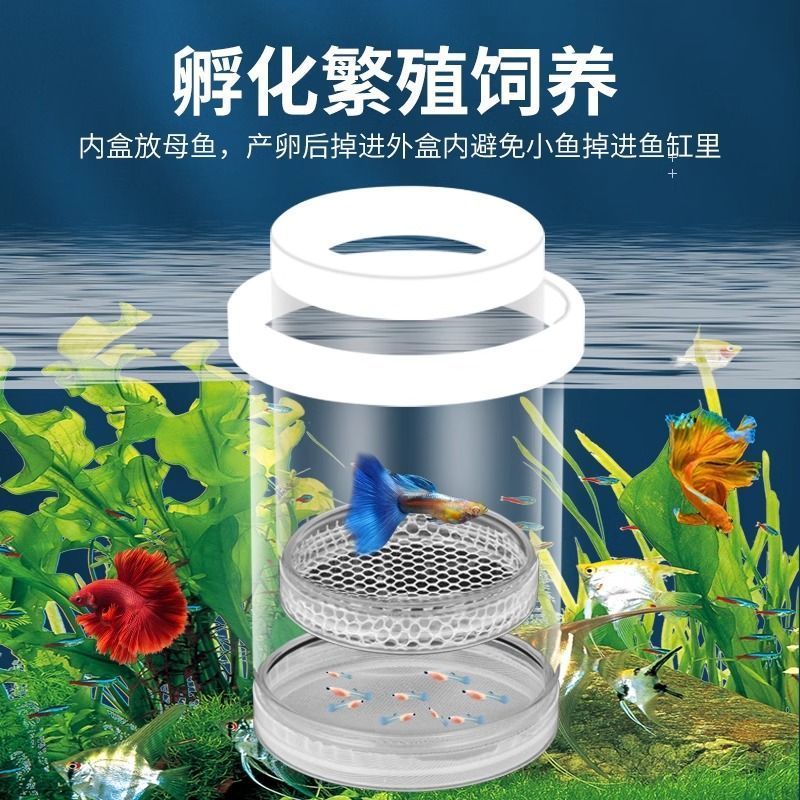 孔雀鱼繁殖盒漂浮式亚克力孵化器