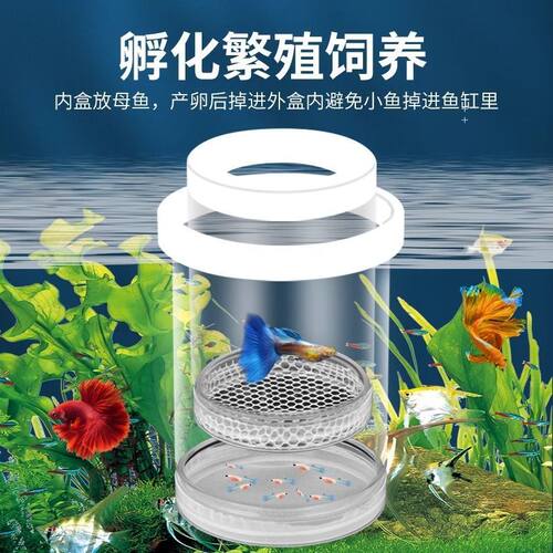 孔雀鱼繁殖盒漂浮式亚克力孵化器