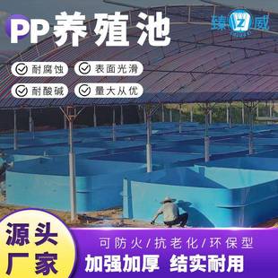 PP养殖池设备抗冲击长方形水产养殖箱加高鱼池养殖专用过滤箱加厚