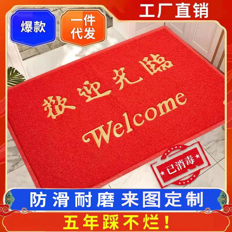进门地垫丝圈门垫地毯入户大门口厅欢迎光临出入平安家用防滑脚垫