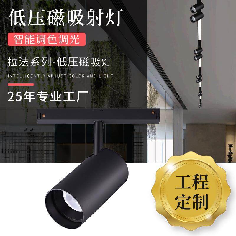 LED明装轨道射灯客厅酒店背景墙低压磁吸射灯高亮高显色防眩射灯,家装灯饰光源,轨道灯,淘宝优惠券,粉丝福利购,淘宝优惠卷