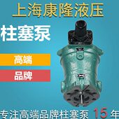 1D轴向柱塞泵 250YCY14 160 100 销上海轩云10