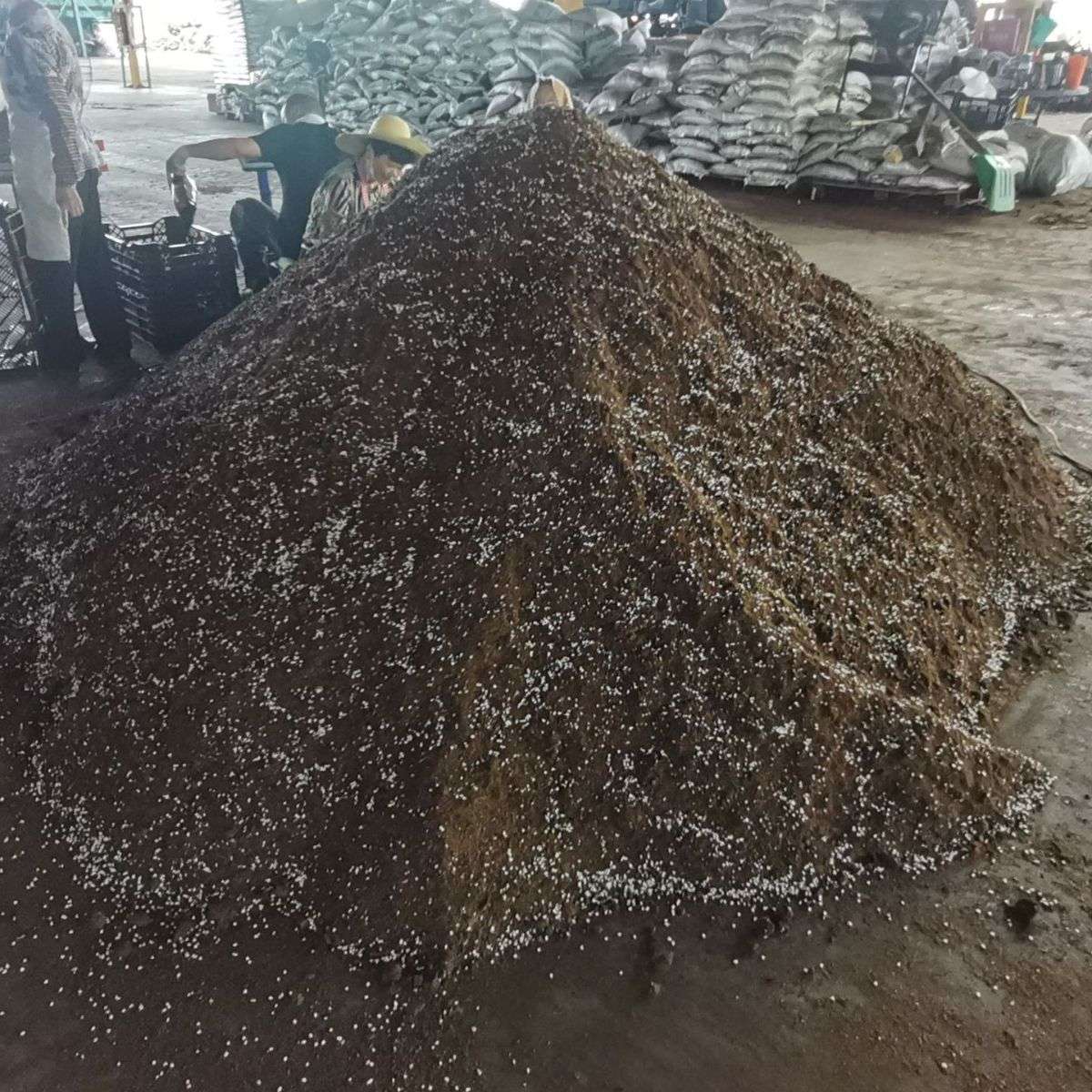 通用型有机花草苗木栽培蔬菜基质泥炭花土 营养土轻质泥炭土
