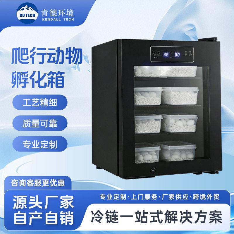 智能恒温爬行动物孵化箱乌龟蜥蜴守宫蛋孵化器爬虫孵蛋温控培育箱
