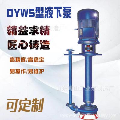 DYWS型单级多用液下污水泵造纸厂化工业炼油矿山排水泥块流体节能