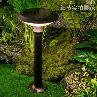 户外园林水景观庭院围墙光柱头灯可调调色防能花园太阳草坪DLM-CP