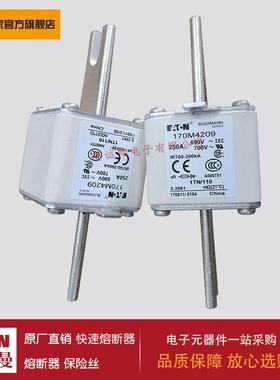 熔断器170M4203 170M4204 170M4308 170M4309 170M4310 170M4311