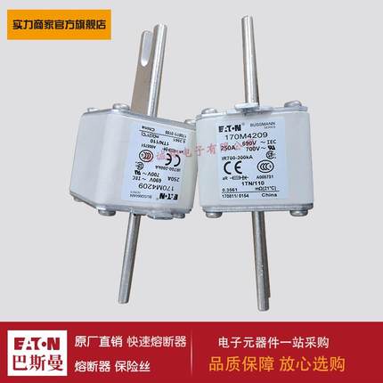 熔断器170M4203 170M4204 170M4308 170M4309 170M4310 170M4311