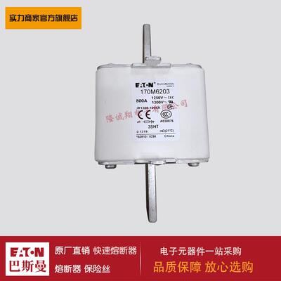熔断器170M6203 170M6206 170M6207 170M6229 170M6256 170M6277