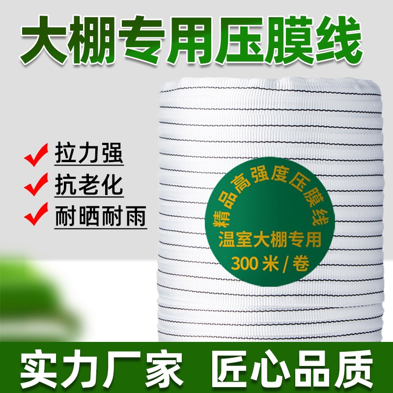 大棚专用压膜线压膜绳白色涤纶加厚压膜线压棚拉S树枝绳子温室强