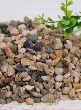 筑厂家五彩鹅卵程石地暖回填料工石料过滤建696铺地石头豆石