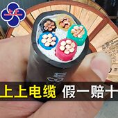 2芯户外国标10 50平方yjv铜芯电缆线 江苏上上电缆5
