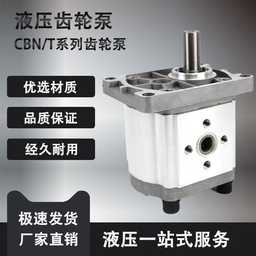 齿轮液压油泵总成CBT/N-F310 CBN-Fy304/F306/F316/E314/320/325F