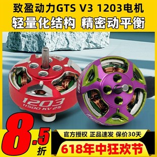 RCinpoewer致盈动力GTS 1203无刷电机花飞竞速室内穿越机动力