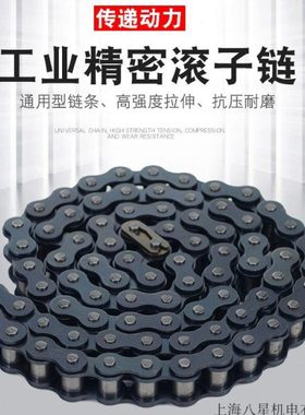 B系列工业链条06B08B10B12B16B20B24B32B单排双排链条