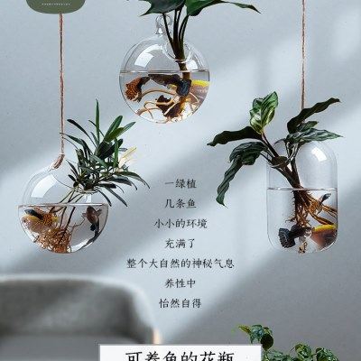 悬挂式植物玻璃瓶花瓶水养培器皿挂墙花盆客厅盆景盆创意透明壁挂,家居饰品,花瓶,淘宝优惠券,粉丝福利购,淘宝优惠卷
