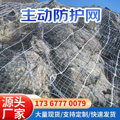 主动被动边坡防护网护坡安全网sns柔性钢丝绳网被动网山体护坡网