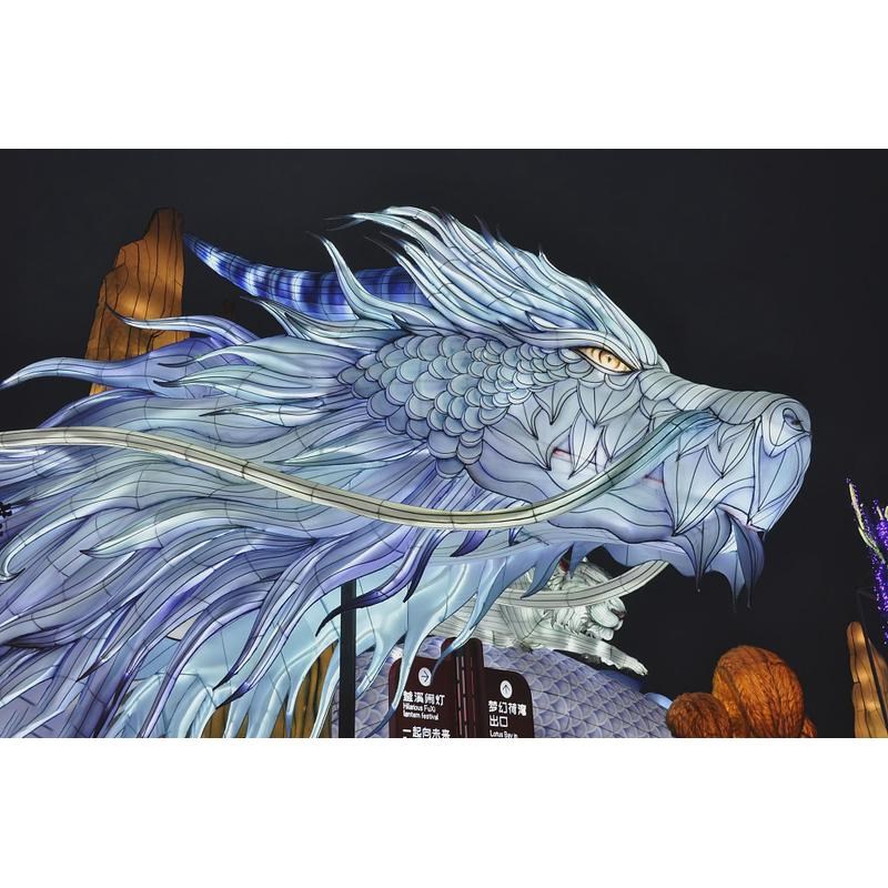 大型龙年花灯端午景区国庆节日彩灯户外中秋N天幕走廊装饰灯笼摆