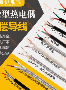 国标S型/B/R型热电偶补偿导线 铂铑热电偶线S测温线精密级SC2*1.0