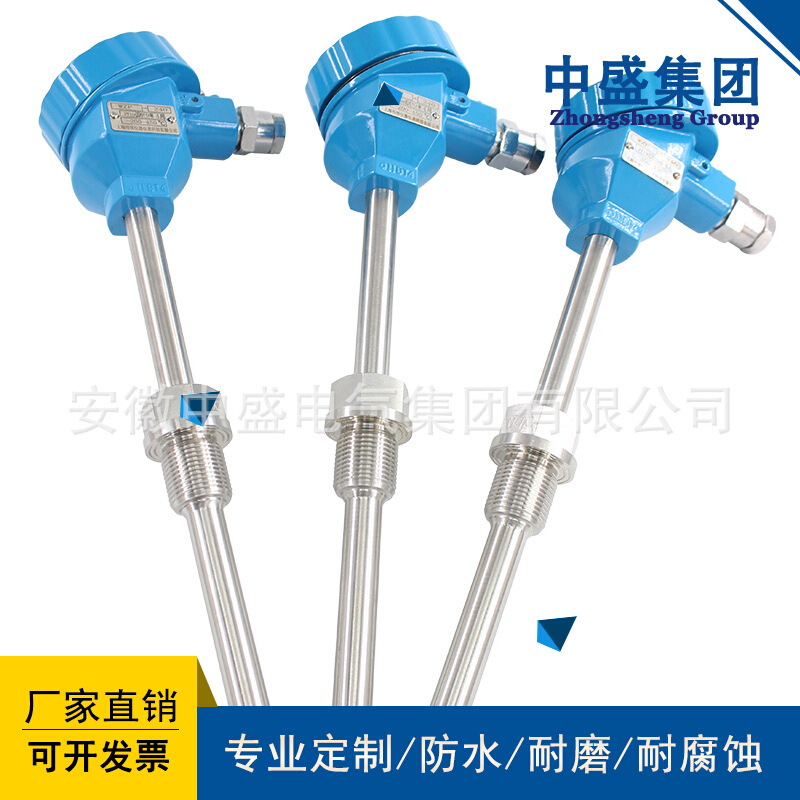 安徽天长仪表中盛仪表WZPK-248 L1=700mm L2=100mm SUS304
