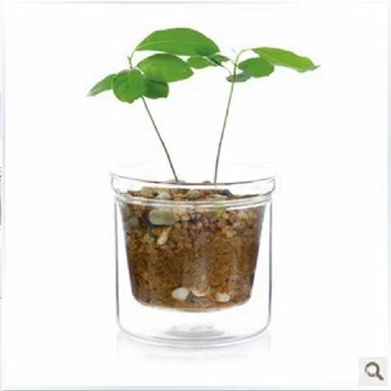 透明玻璃花盆储水式双层水u培小花盆迷你花瓶容器办公桌面摆件装