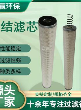 众赢环保 玻璃纤维油雾聚结滤芯JPMK2519-10CE-S1-M气液聚结滤芯