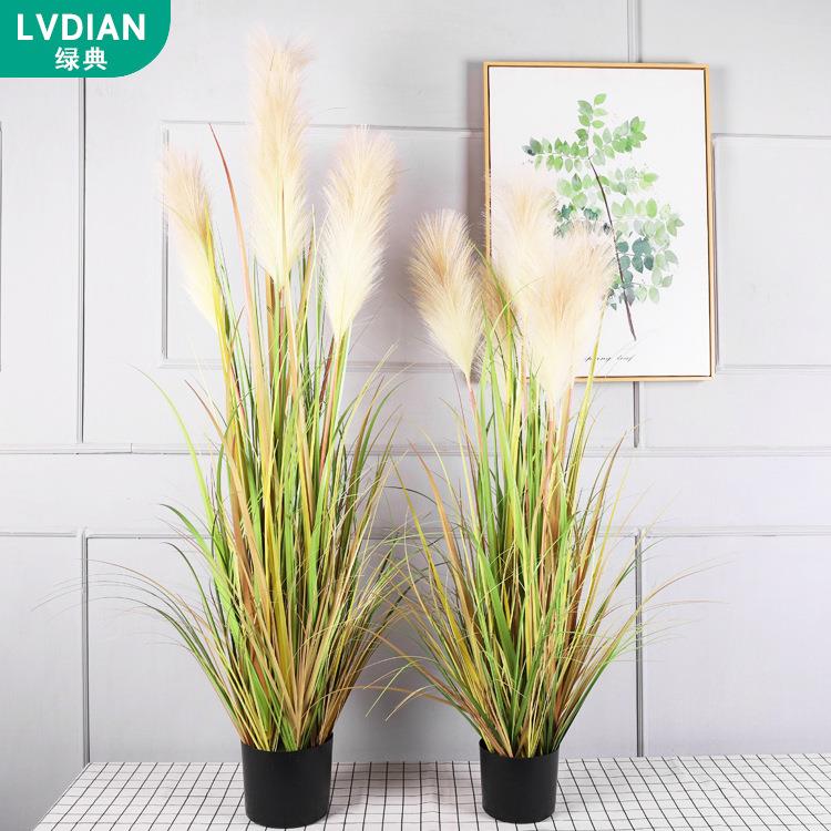 仿真芦苇仿真草绿植5头盆栽假绿植客厅卧室装饰假草家居狗尾巴草