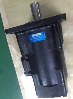 原装 丹尼逊T6EC 085 031 022 1R00 B1 1R01/1R02/1R03 C1叶片泵