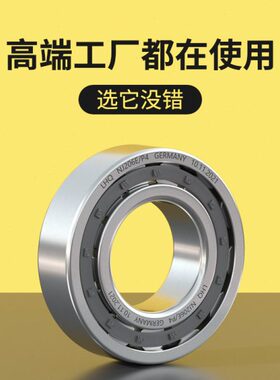 圆柱滚子减速机NU/NJ213 214 215 216 217 218 219 220 221EW轴承